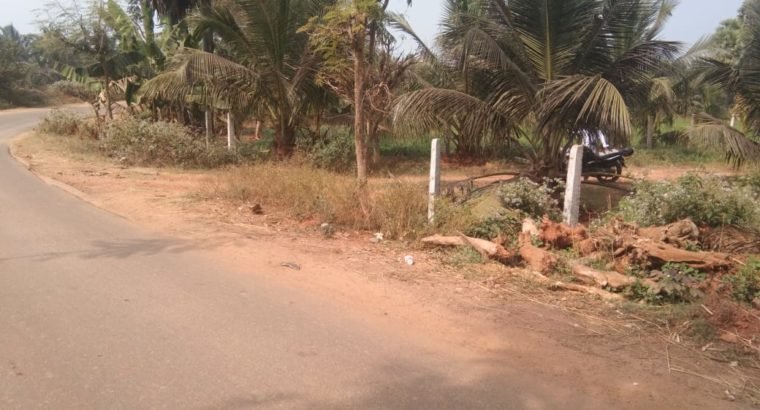 Coconut Garden For Sale at Ranastalam, Srikakulam