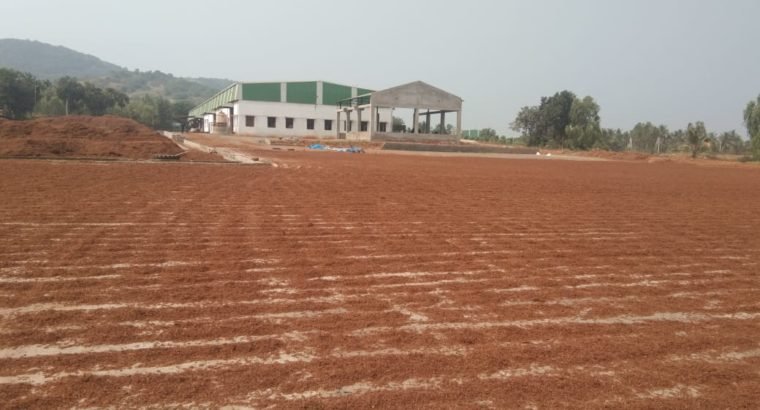 Coconut Garden For Sale at Ranastalam, Srikakulam