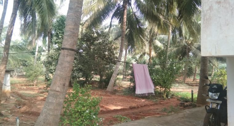 Coconut Garden For Sale at Ranastalam, Srikakulam