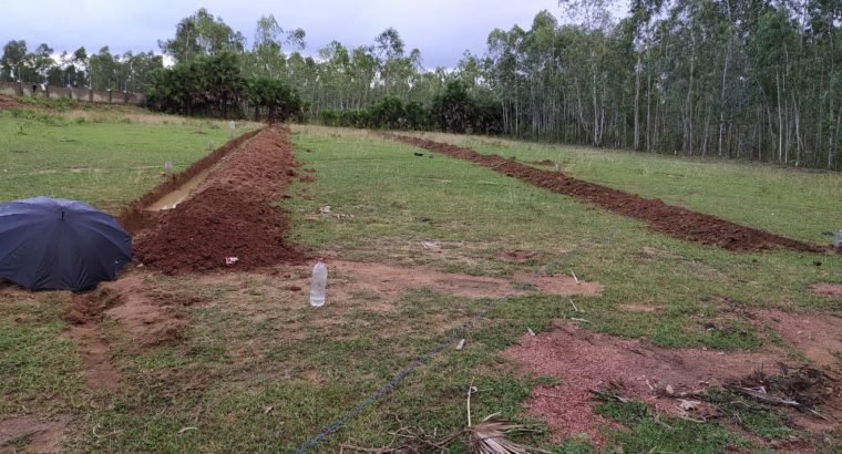 Open Plots For Sale at Aruku Road, Near Chanduluru Village.