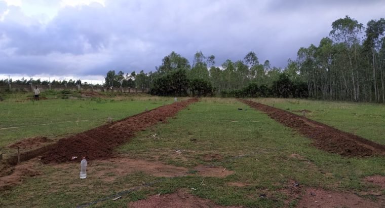 Open Plots For Sale at Aruku Road, Near Chanduluru Village.