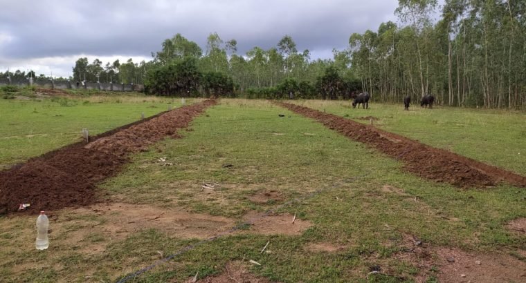 Open Plots For Sale at Aruku Road, Near Chanduluru Village.