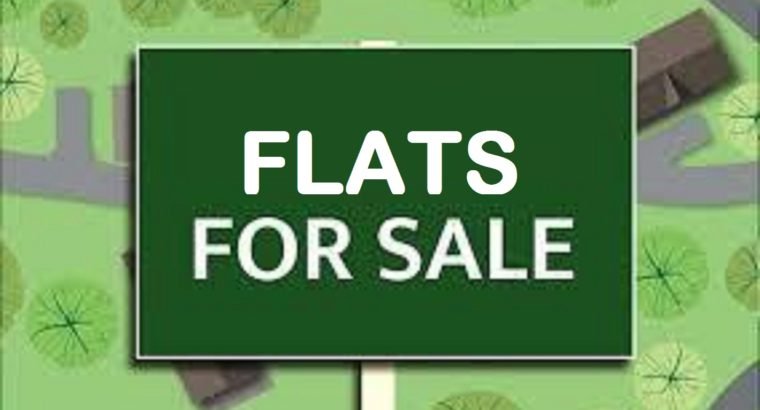 4 Flats For Sale at Thurpu Bazar, Gorantla.