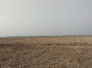 Open Commercial Land For Sale Between Naidupeta and Gudur, Nellore Dist.