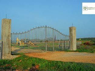 25 Cents Of Farm Land For Sale at NH-565, Kanigiri, Prakasam Dist