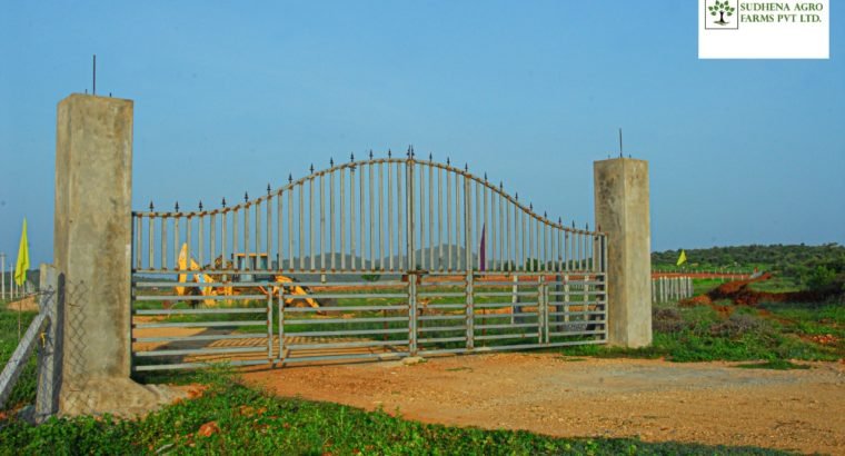 25 Cents Of Farm Land For Sale at NH-565, Kanigiri, Prakasam Dist