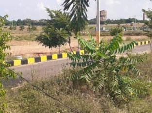 Open Plots and Individual House For Sale at Narketpalle, Vijayawada