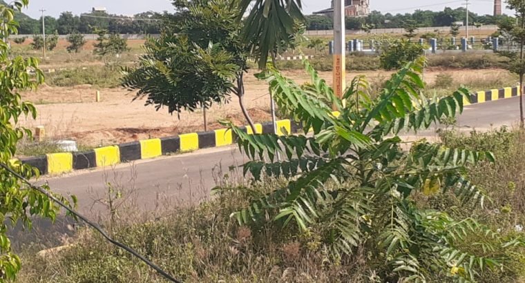 Open Plots and Individual House For Sale at Narketpalle, Vijayawada