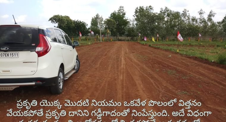 Farm Land Plots for Sale at Markapur Road, Garladinne Village, Prakasam Dist