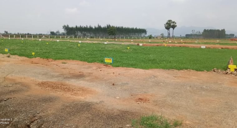 Open Plots For Sale Near Milk Factory, Vijayawada