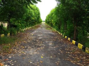 Farm Land Plots for Sale at Chimalakondur, Mothkur Road, Yadadri.