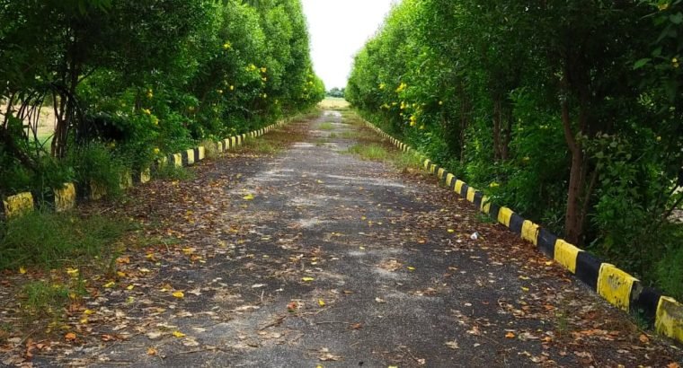 Farm Land Plots for Sale at Chimalakondur, Mothkur Road, Yadadri.