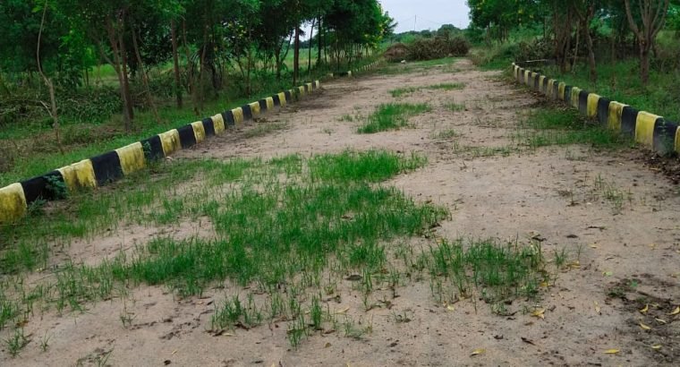 Farm Land Plots for Sale at Chimalakondur, Mothkur Road, Yadadri.