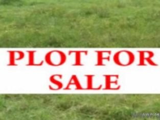 3 Plots for Sale at KUDA Layout at Reddypalem Village, Warangal