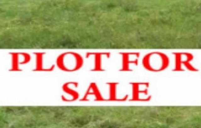 3 Plots for Sale at KUDA Layout at Reddypalem Village, Warangal