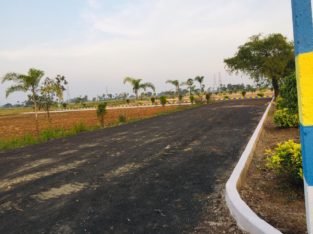 Open Plots for Sale at Rajanagaram, Towards Rajahmundry to Kakinada Highway.