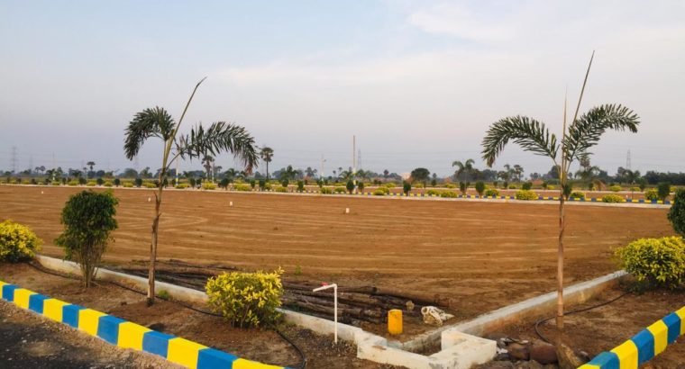 Open Plots for Sale at Rajanagaram, Towards Rajahmundry to Kakinada Highway.