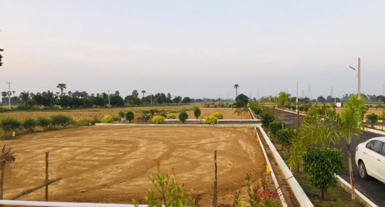 Open Plots for Sale at Rajanagaram, Towards Rajahmundry to Kakinada Highway.