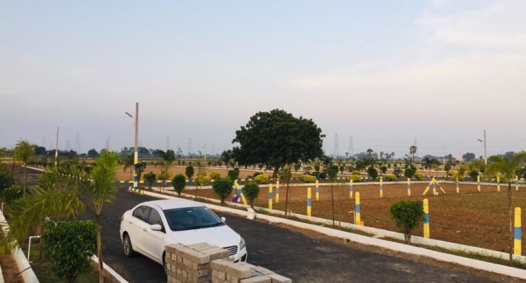 Open Plots for Sale at Rajanagaram, Towards Rajahmundry to Kakinada Highway.