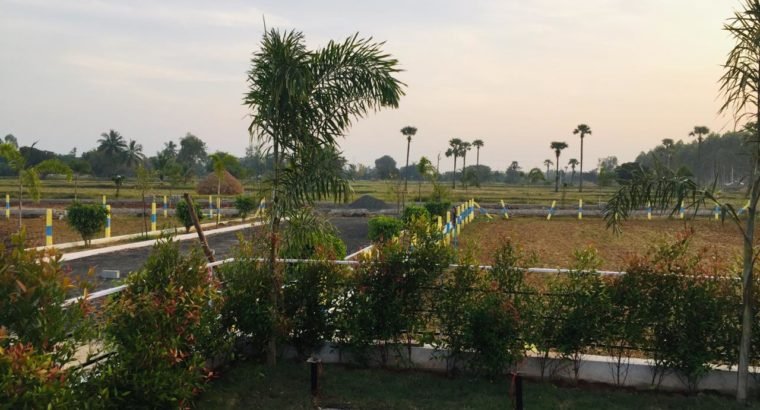 Open Plots for Sale at Rajanagaram, Towards Rajahmundry to Kakinada Highway.