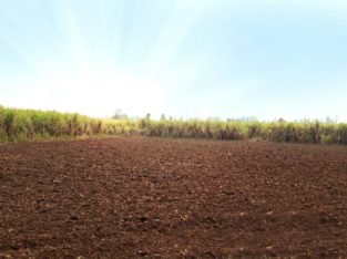 60 Acres Agriculture Land for Sale at Srikakulam.