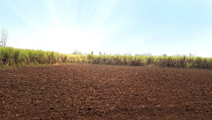 60 Acres Agriculture Land for Sale at Srikakulam.