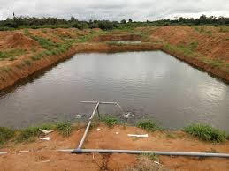 Fish Pond land For Sale at Pallamkuru East Godavari Dist.