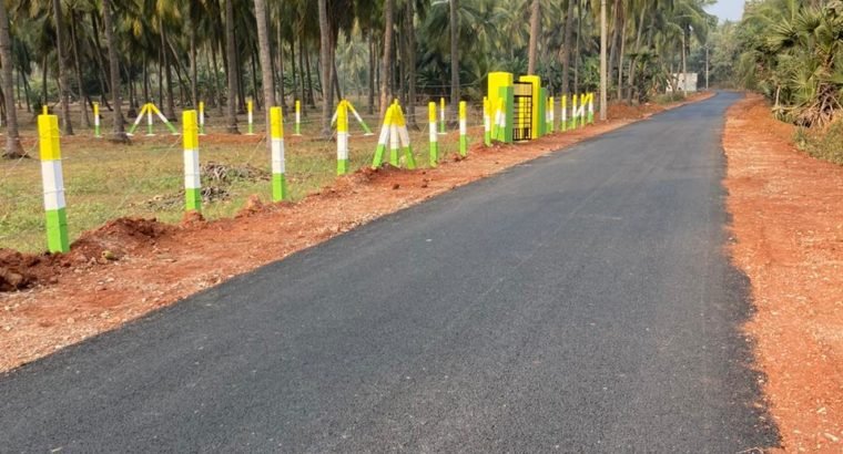 Plots for Sale at Tagarapuvalasa, Visakhapatanam