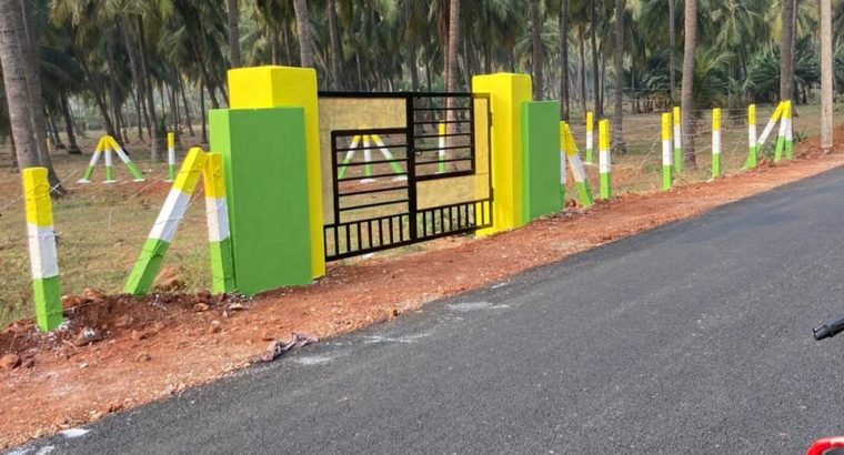 Plots for Sale at Tagarapuvalasa, Visakhapatanam