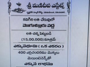 Farm Land Plots for Sale at Mogulluru Kanigiri,Prakasam District