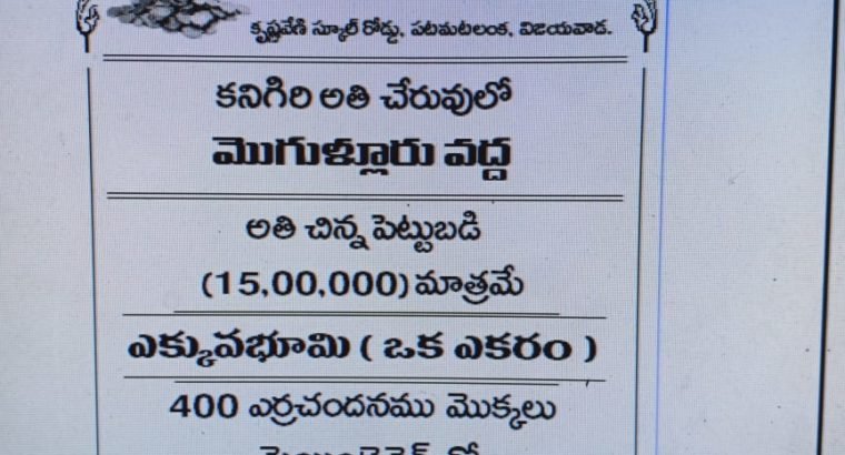 Farm Land Plots for Sale at Mogulluru Kanigiri,Prakasam District