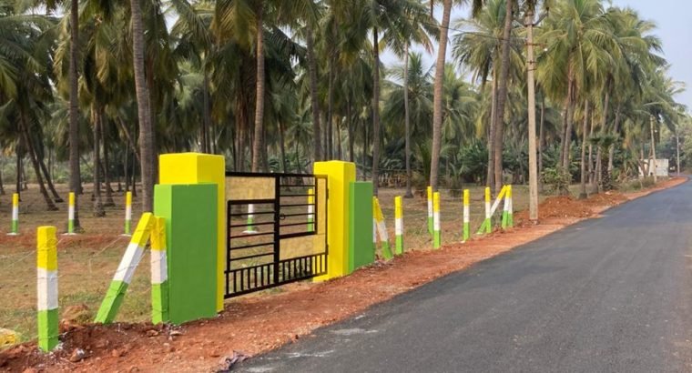 Plots for Sale at Tagarapuvalasa, Visakhapatanam