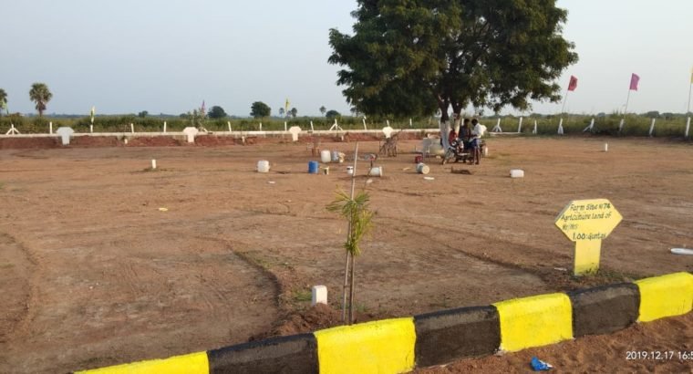 8 Acres Farm Land Plots For Sale at Yadagirigutta,Rayagiri, Hyderabad.