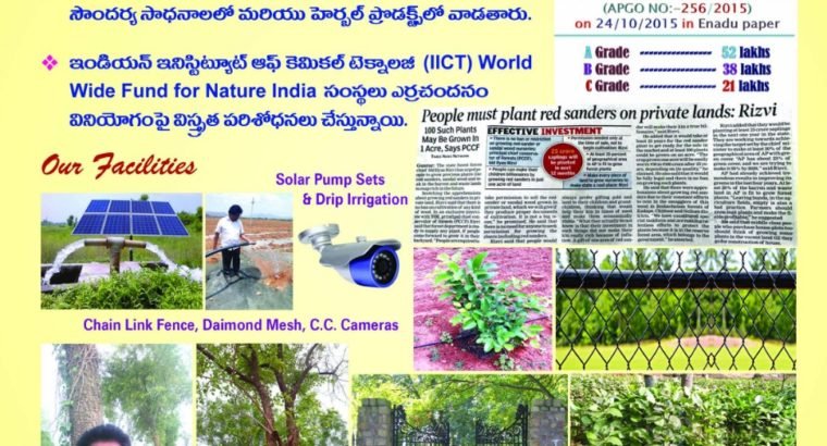 Farm Land Plots for Sale at Kanigiri,Prakasam District