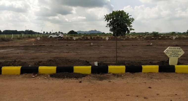 8 Acres Farm Land Plots For Sale at Yadagirigutta,Rayagiri, Hyderabad.