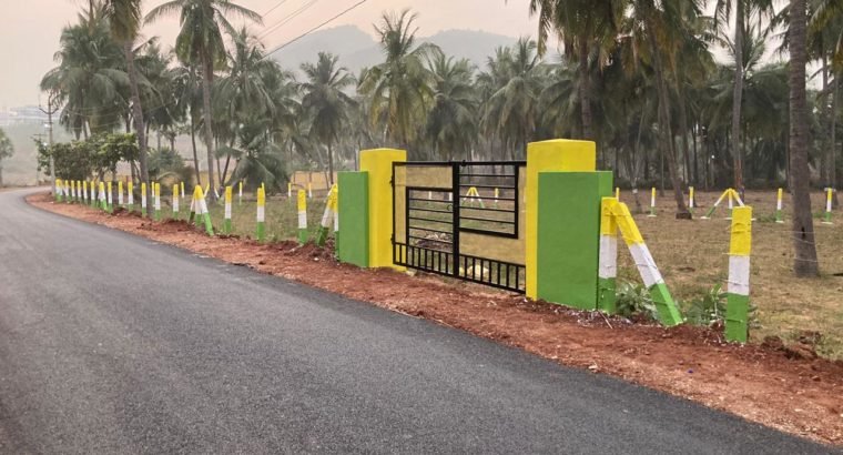 Plots for Sale at Tagarapuvalasa, Visakhapatanam