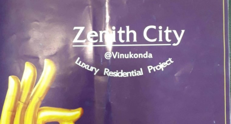 Open Plots For Sale at Zenith City, Vinukonda, Guntur