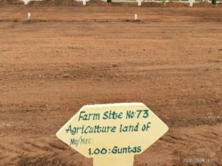 8 Acres Farm Land Plots For Sale at Yadagirigutta,Rayagiri, Hyderabad.