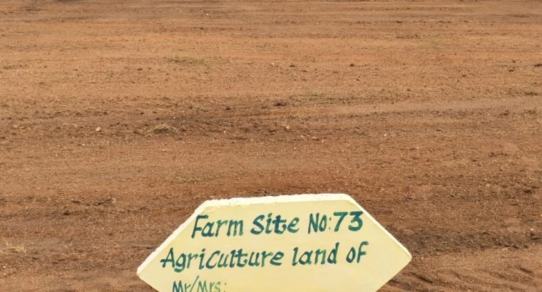 8 Acres Farm Land Plots For Sale at Yadagirigutta,Rayagiri, Hyderabad.