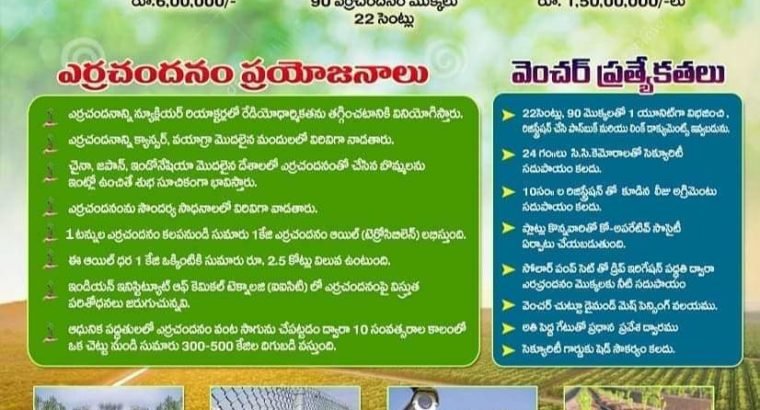 Farm Land Plots for Sale at Kanigiri,Prakasam District