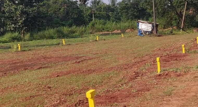 Dtcp plots in Dwarka thirumala