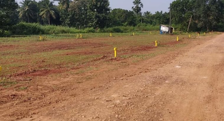 Dtcp plots in Dwarka thirumala