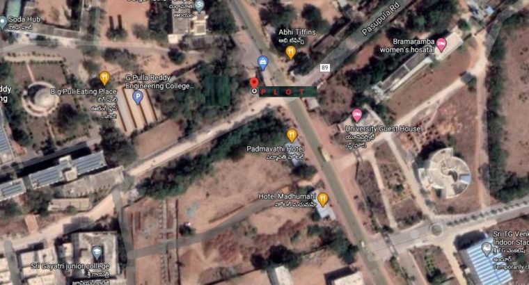 Commercial/ Residential Plot – Nandyal Road Bit