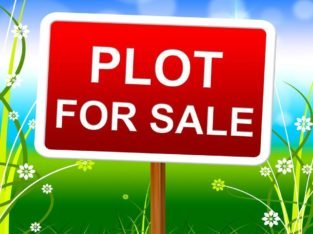 Plot For Sale at Pinagadi, NAD to Vepagunta, Visakhapatnam.