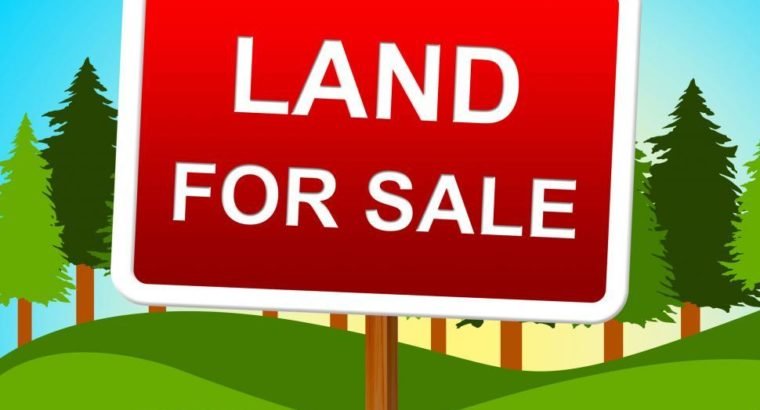 10 Acres Commercial Land For Sale at Karedu Ramp, Ulavapadu Mandal.