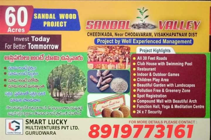 60 Acres Farm Land Plots with Sandalwood Plants For Sale at Cheedikada , Near Chodavaram, Visakhapatnam District.