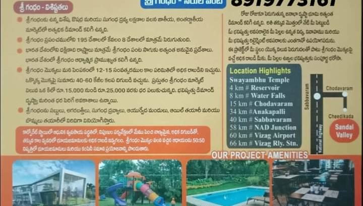 60 Acres Farm Land Plots with Sandalwood Plants For Sale at Cheedikada , Near Chodavaram, Visakhapatnam District.