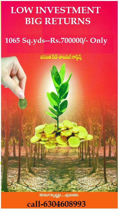 Farm Land with Red Sandal Plants For Sale at Bhoomireddy Village, Prakasam Dist