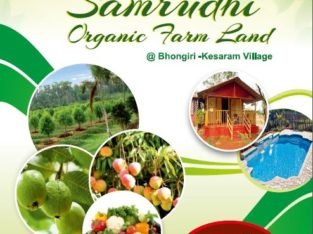 Samrudhi Organic Farm Lands for Sale at Kesaram Village, Bhongiri.