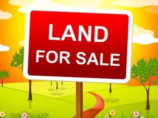 Residential / Commercial Land for Sale at Kothapeta, Guntur